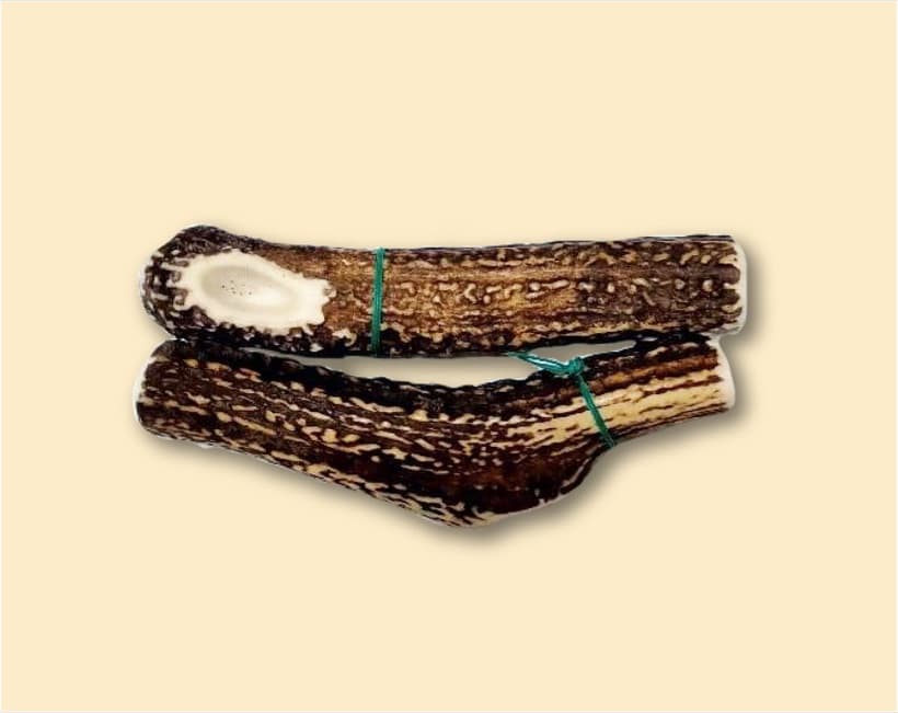鹿角 小(15cm)