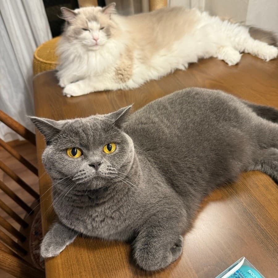 もとの写真